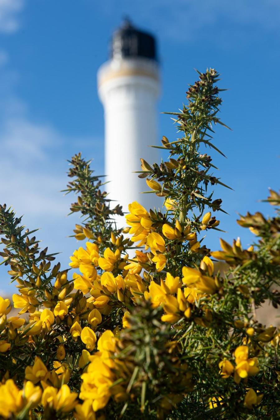 Covesea Lighthouse * Lossiemouth